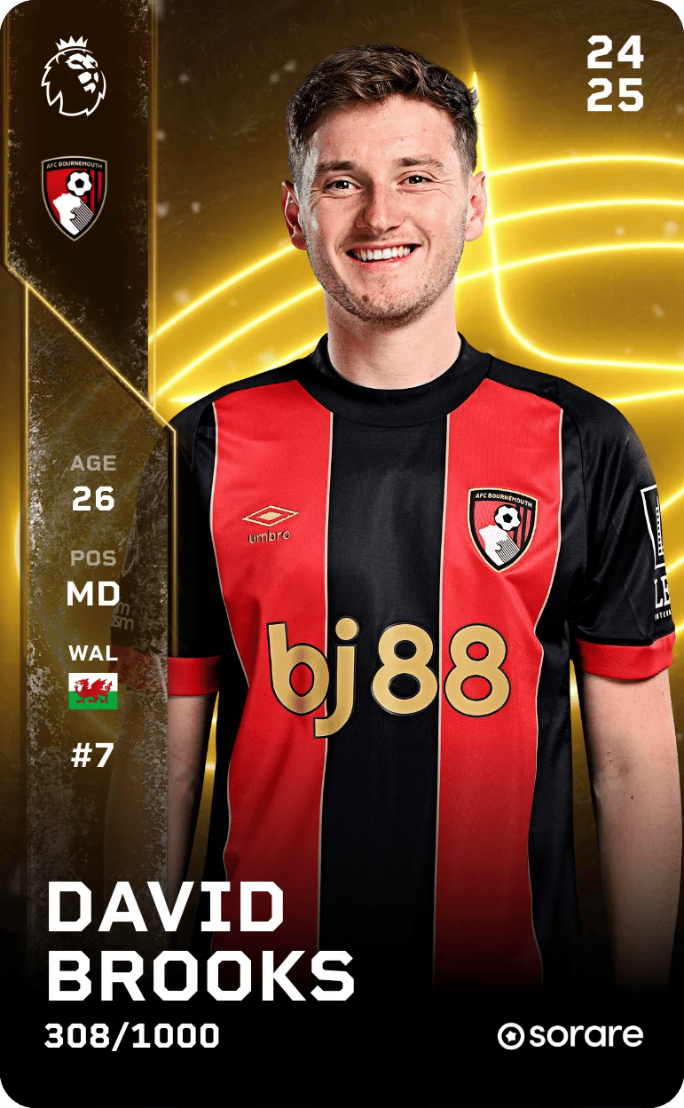 David Brooks 2024-25 • Limited 308/1000
