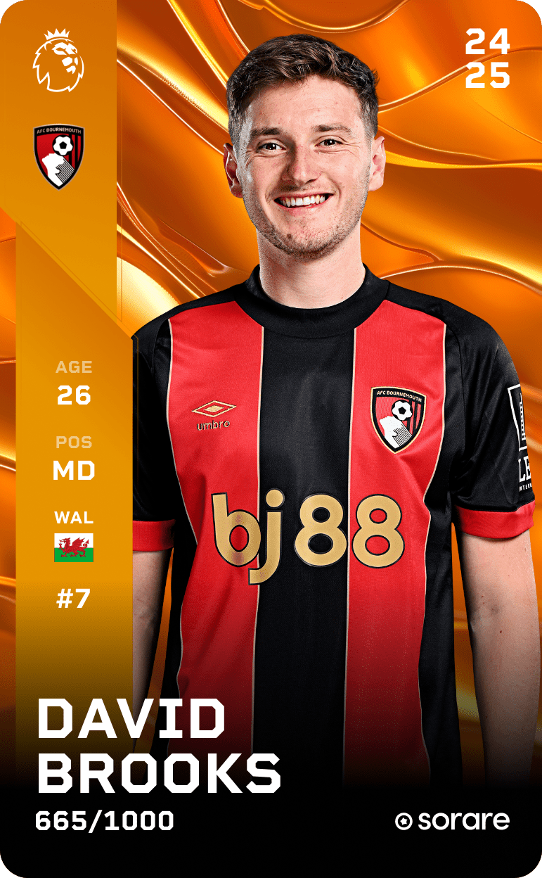 David Brooks 2024-25 • Limited 665/1000