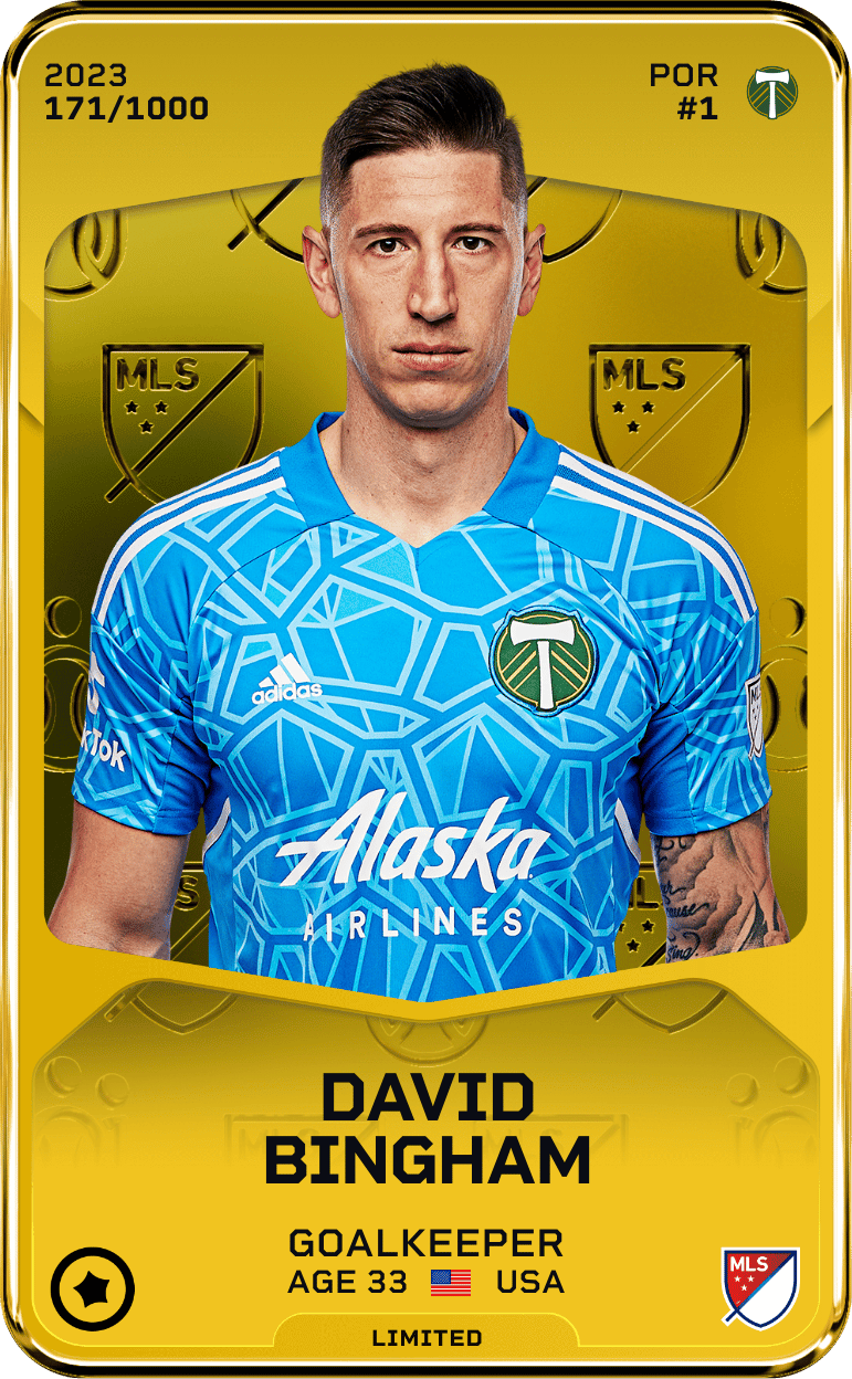 David Bingham 2023-24 • Limited 171/1000