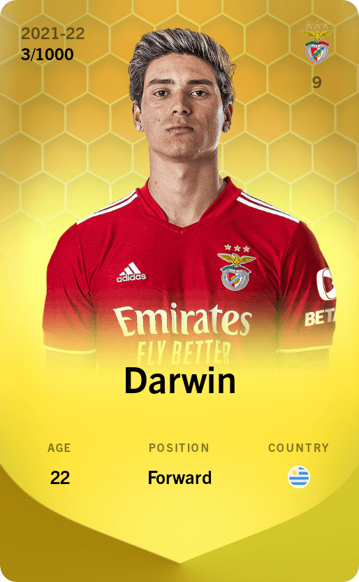 Darwin 2021-22 • Limited 3/1000