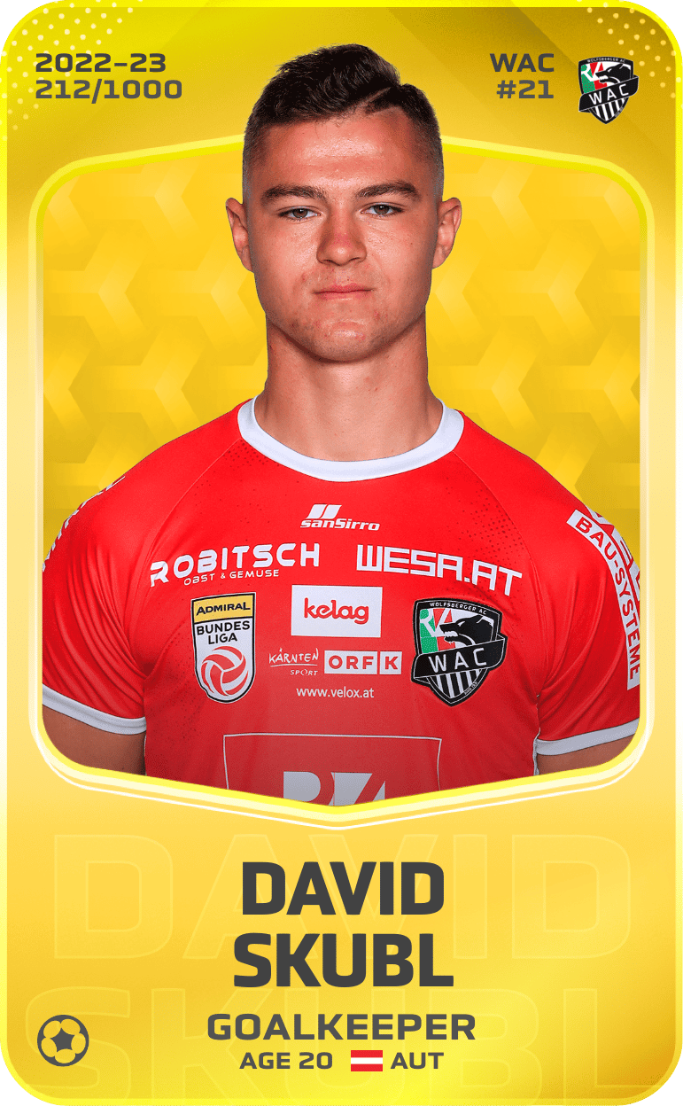 David Skubl 2022-23 • Limited 212/1000