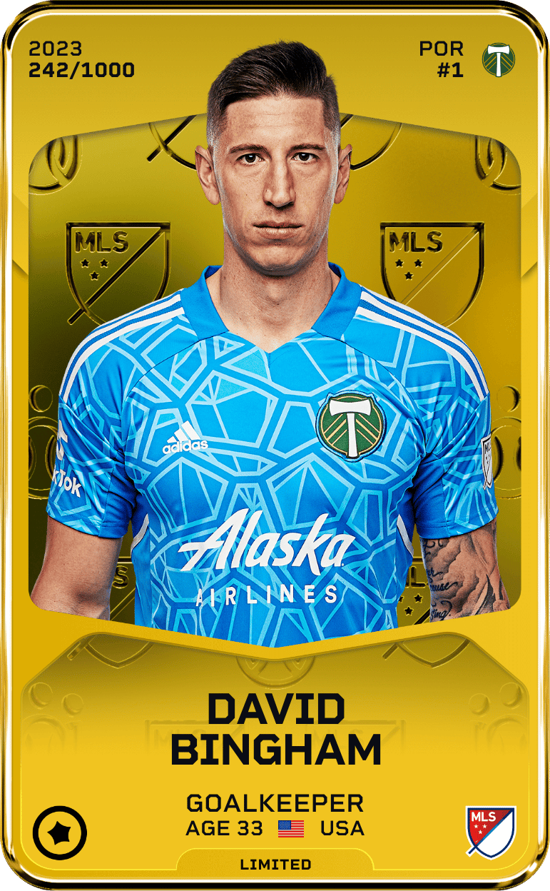 David Bingham 2023-24 • Limited 242/1000