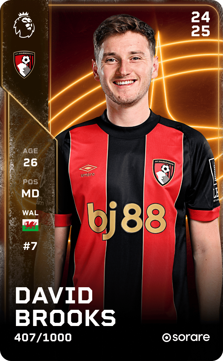 David Brooks 2024-25 • Limited 407/1000