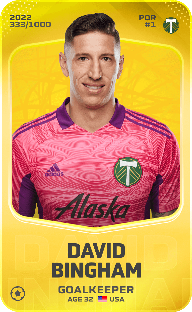 David Bingham 2022-23 • Limited 333/1000
