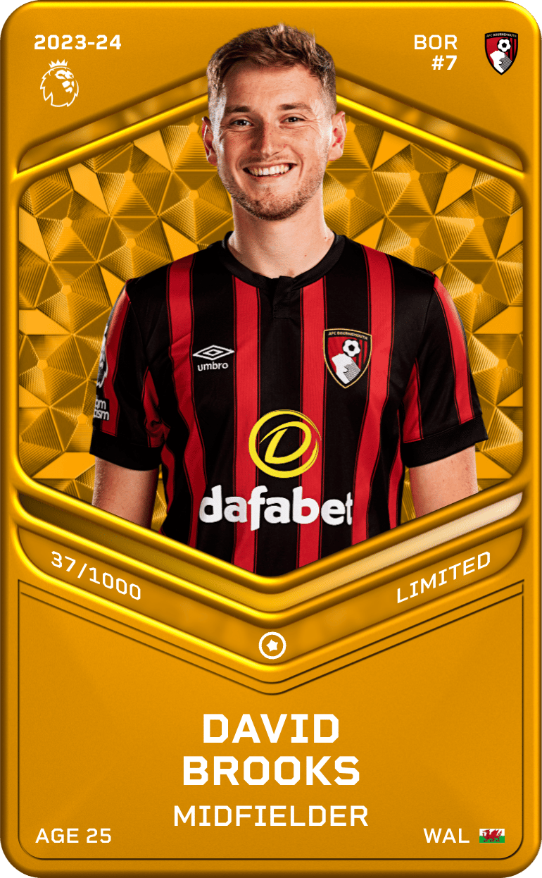 David Brooks 2023-24 • Limited 37/1000
