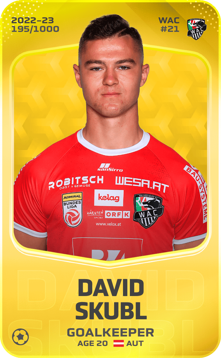 David Skubl 2022-23 • Limited 195/1000