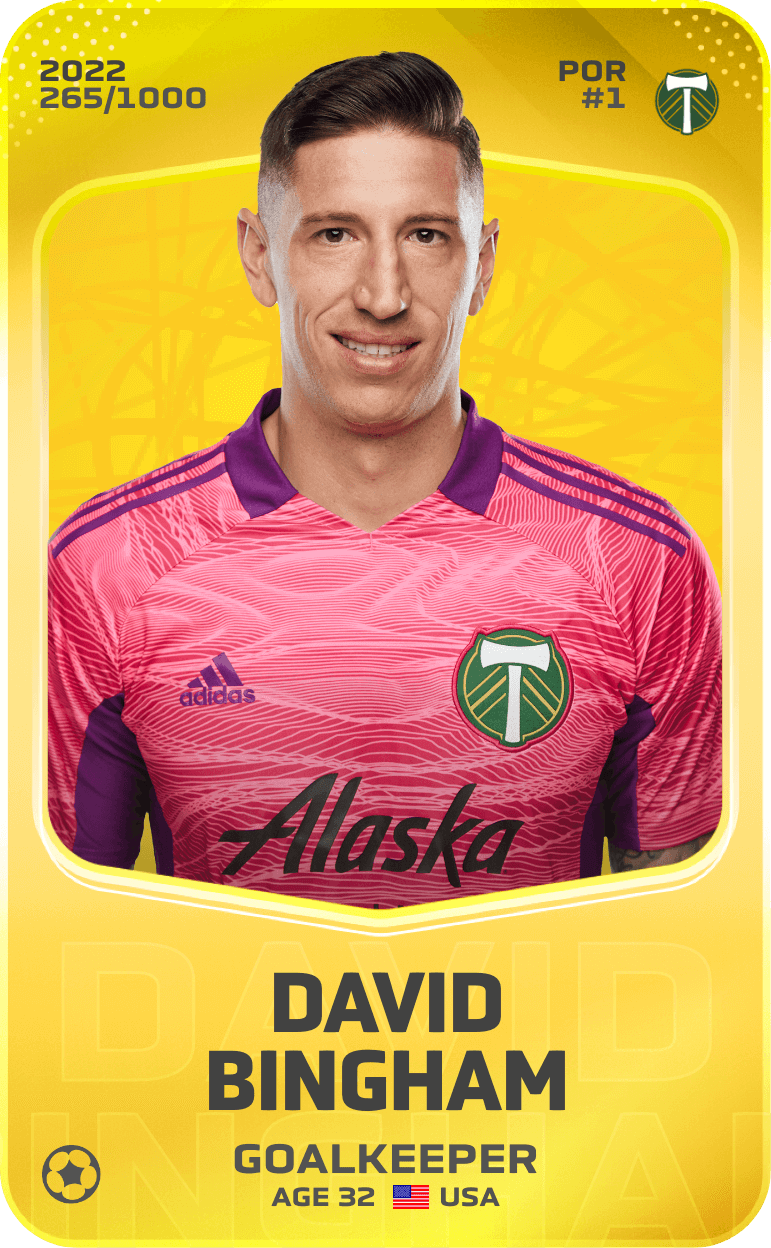David Bingham 2022-23 • Limited 265/1000