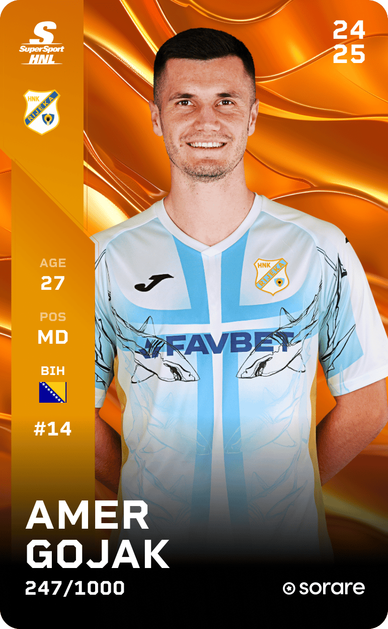 Amer Gojak 2024-25 • Limited 247/1000