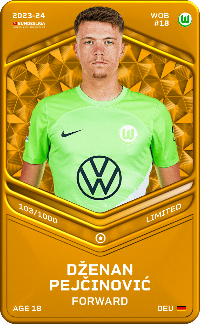 Dženan Pejčinović 2023-24 • Limited 103/1000