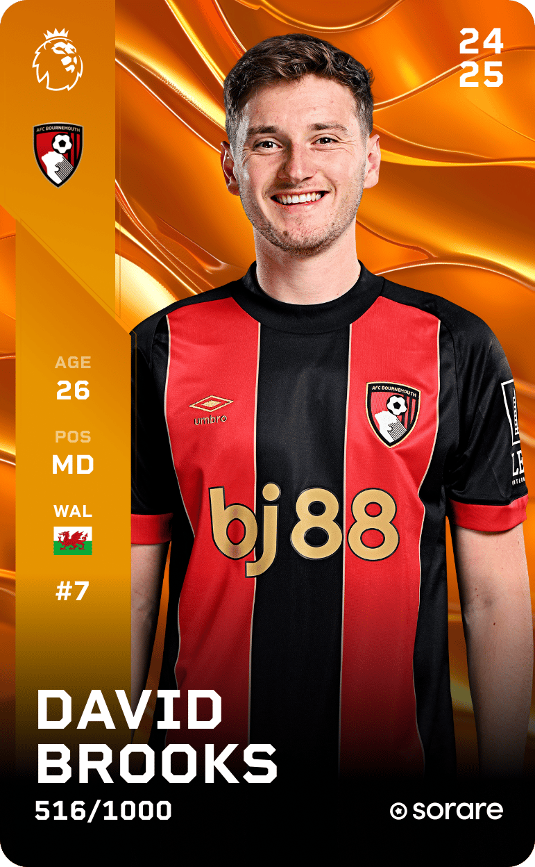 David Brooks 2024-25 • Limited 516/1000