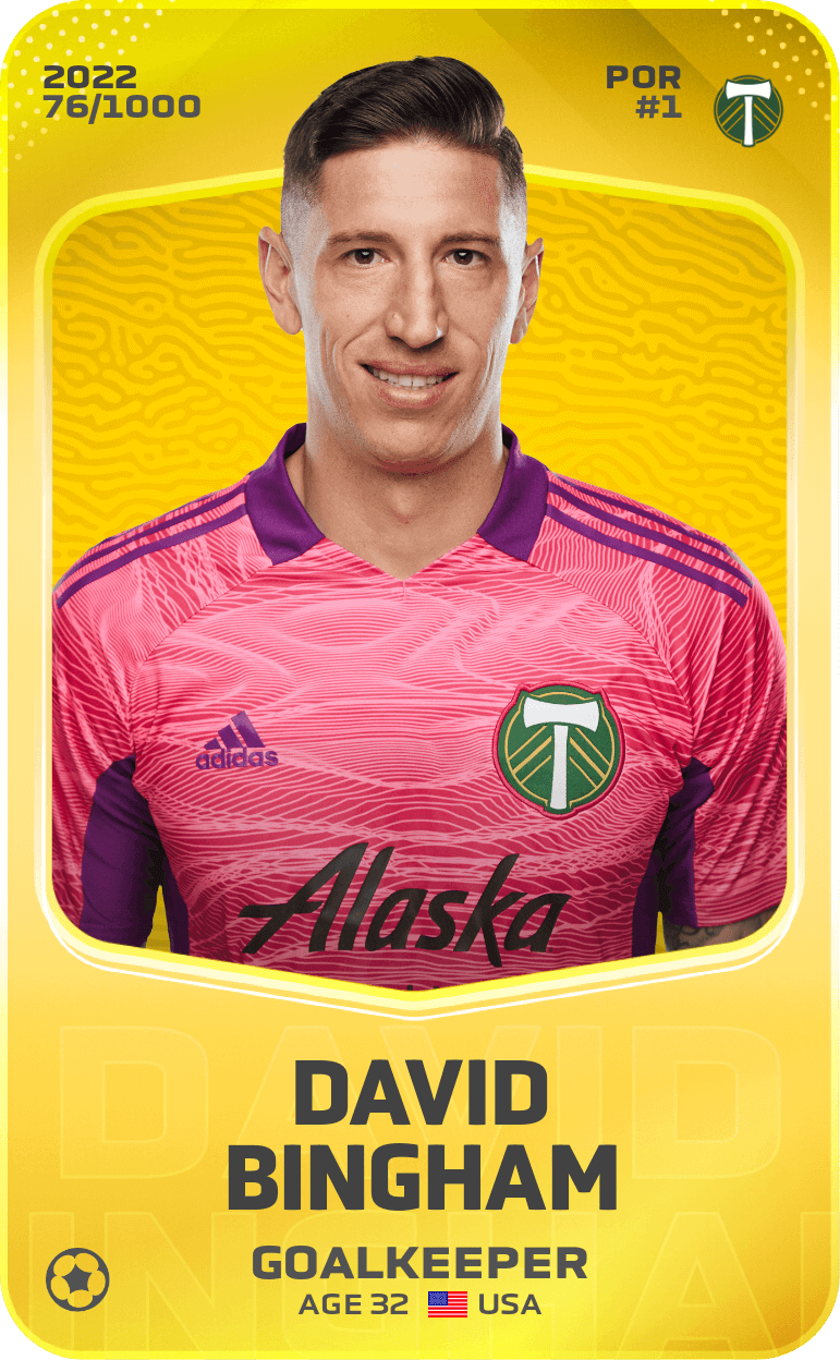 David Bingham 2022-23 • Limited 76/1000