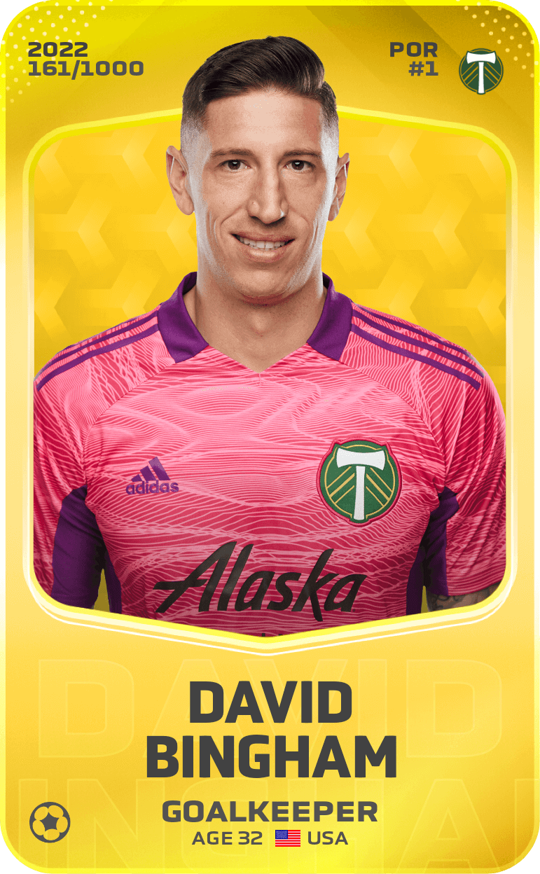 David Bingham 2022-23 • Limited 161/1000