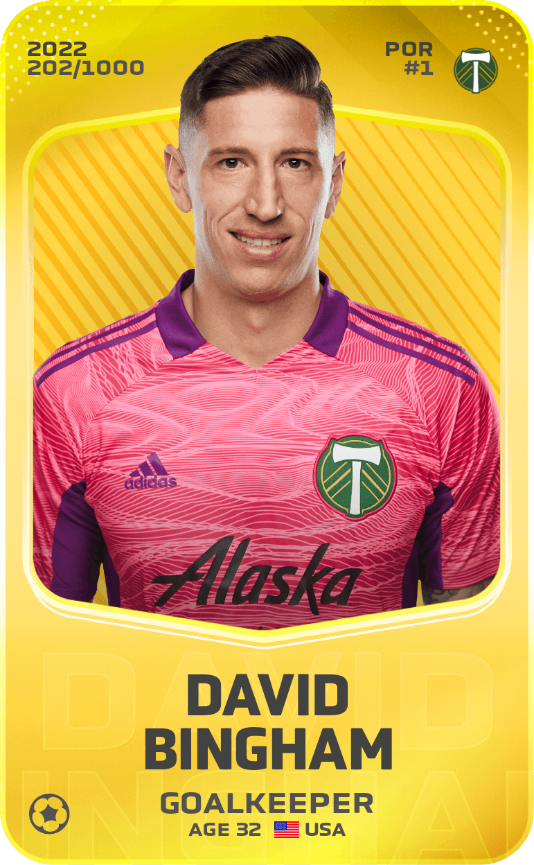David Bingham 2022-23 • Limited 202/1000