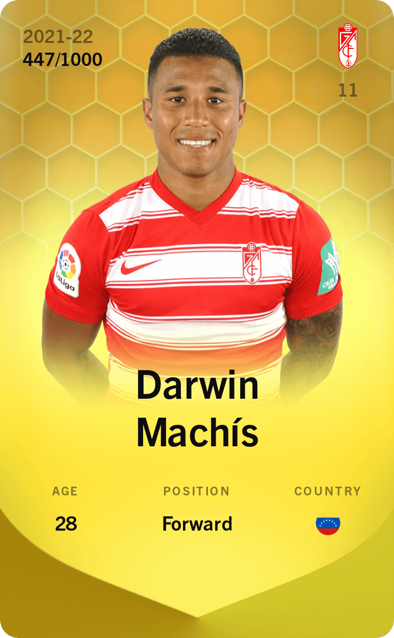 darwin-daniel-machis-marcano-2021-limited-447