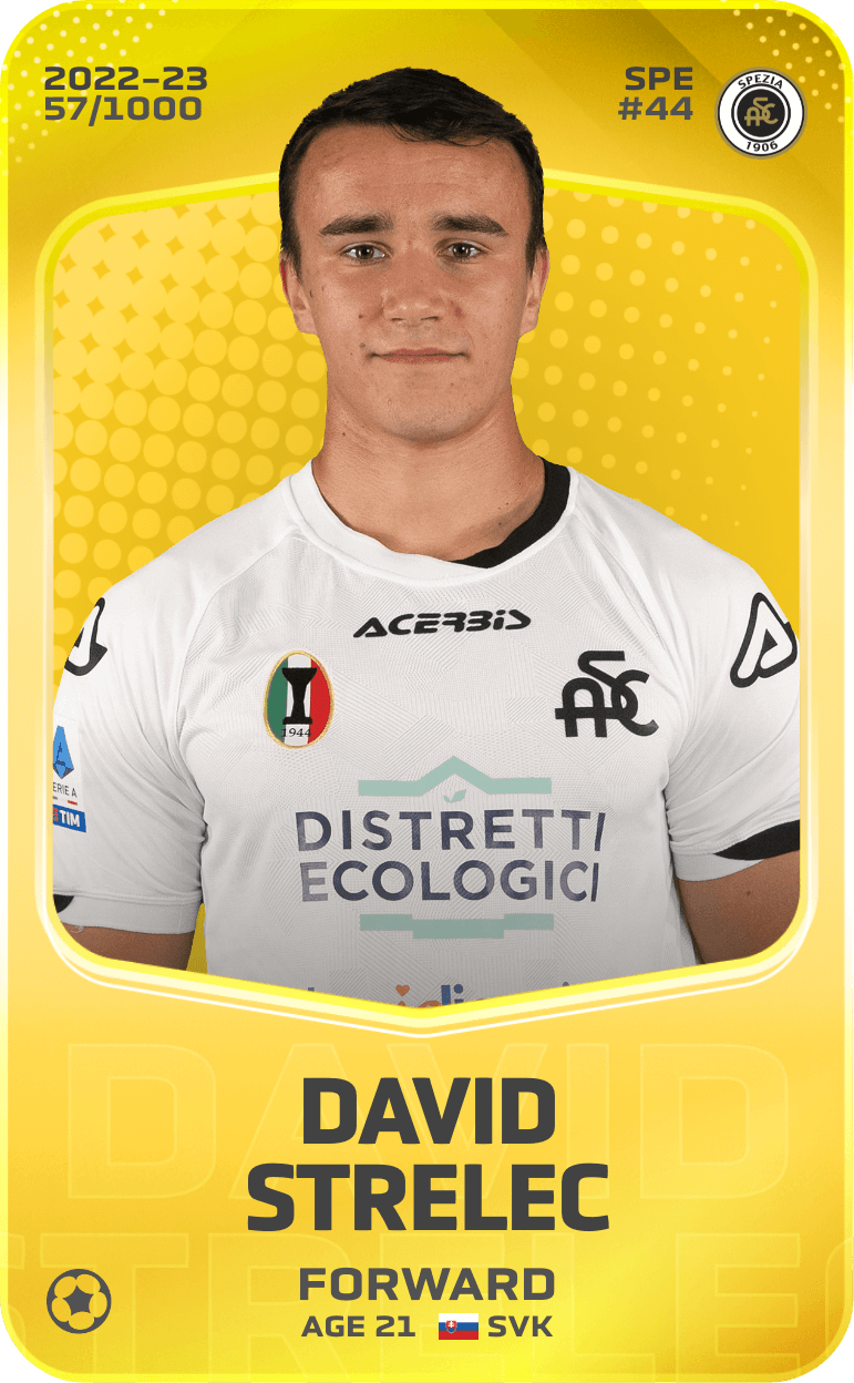 david-strelec-2022-limited-57