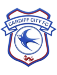 Cardiff City FC Under 18 Academy