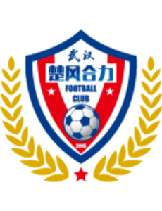 Wuhan Chufeng Heli FC