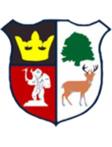 Cinderford Town FC