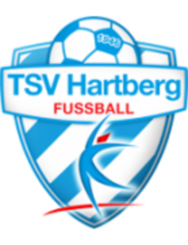 Austrian Bundesliga – League Profile • Sorare