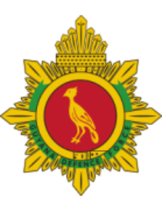 Guyana Defence Force