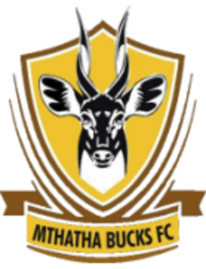 Mthatha Bucks FC