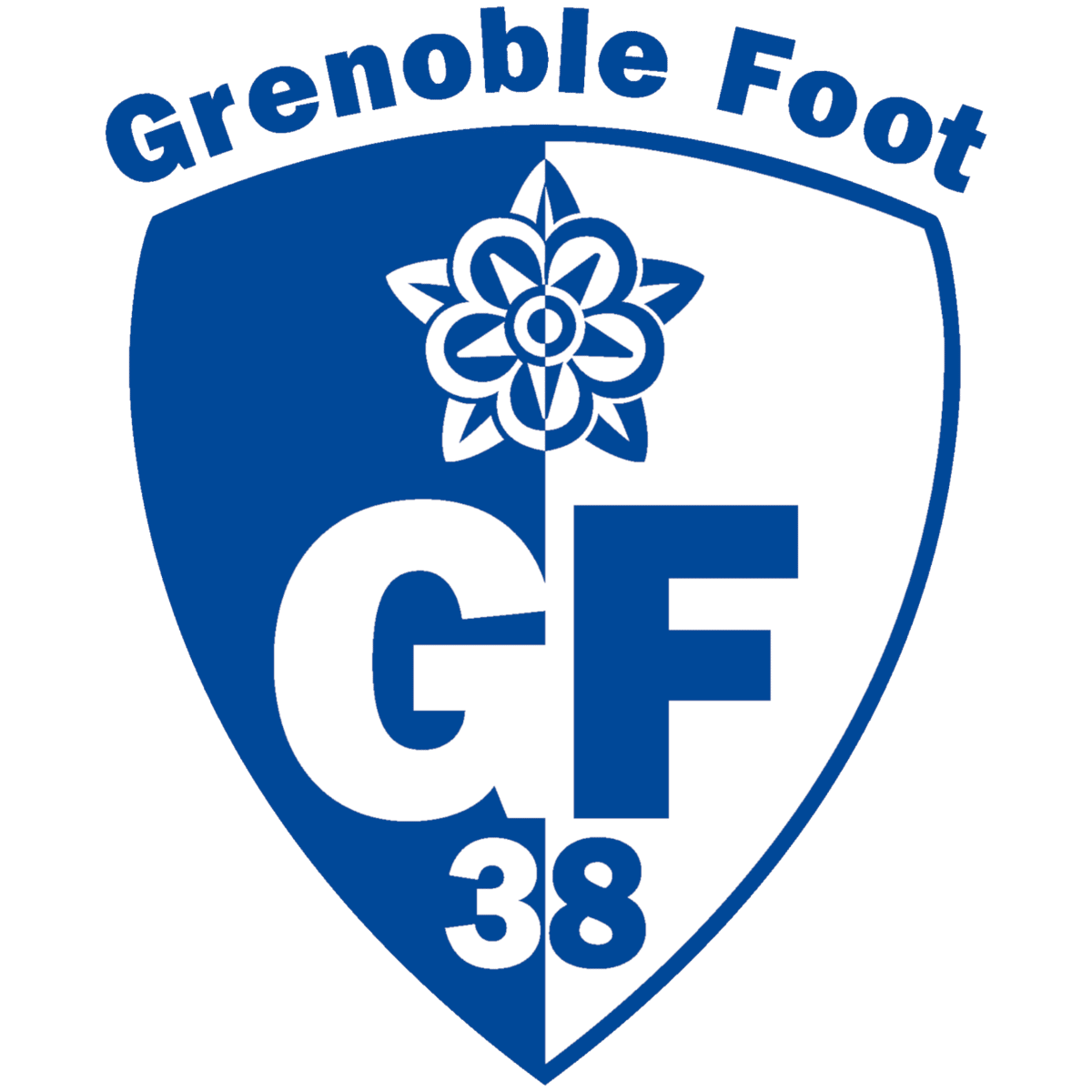 Grenoble Foot 38