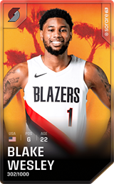 Blake Wesley - limited