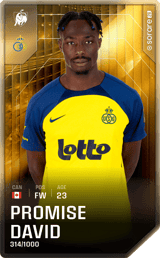 Promise David - limited