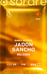 Jadon Sancho - limited