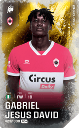 Gabriel David - limited