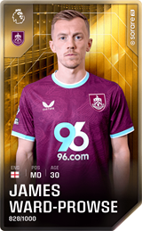 James Ward-Prowse - limited