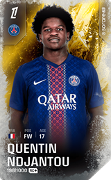 Quentin Ndjantou - limited