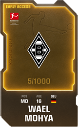 Wael Mohya - limited