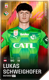 Lukas Schweighofer - limited