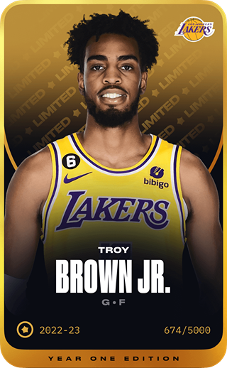 Troy Brown Jr. - limited