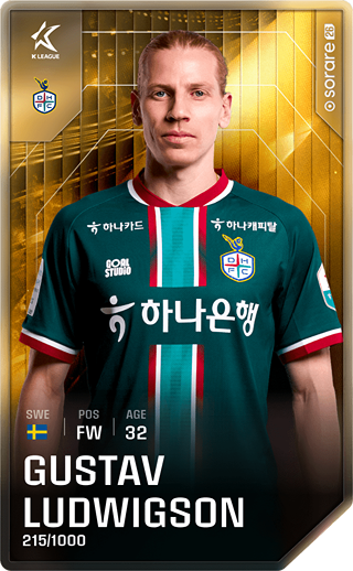 Gustav Ludwigson - limited