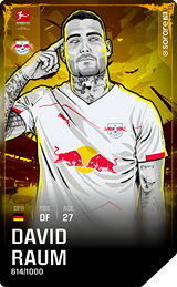 David Raum - limited