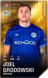 Joel Grodowski - limited