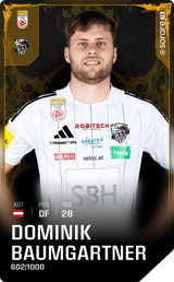 Dominik Baumgartner - limited