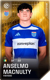 Anselmo MacNulty - limited