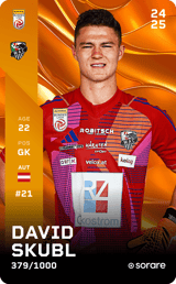 David Skubl - limited