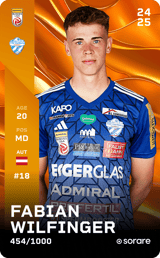 Fabian Wilfinger - limited
