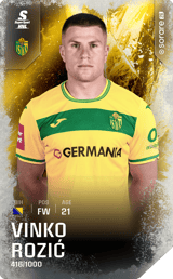 Vinko Rozić - limited