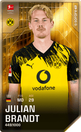 Julian Brandt - limited