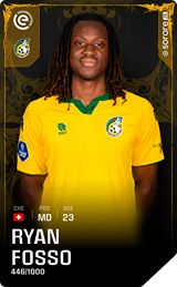 Ryan Fosso - limited