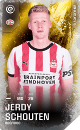 Jerdy Schouten - limited