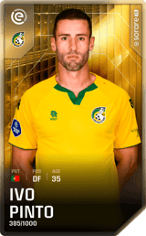 Ivo Pinto - limited