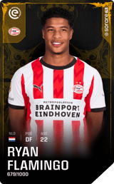 Ryan Flamingo - limited