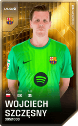 Wojciech Szczęsny - limited