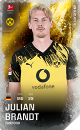 Julian Brandt - limited